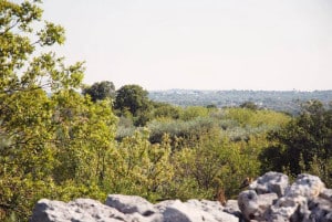 Landscape in Puglia