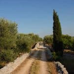 homes for sale in the Puglian countryside